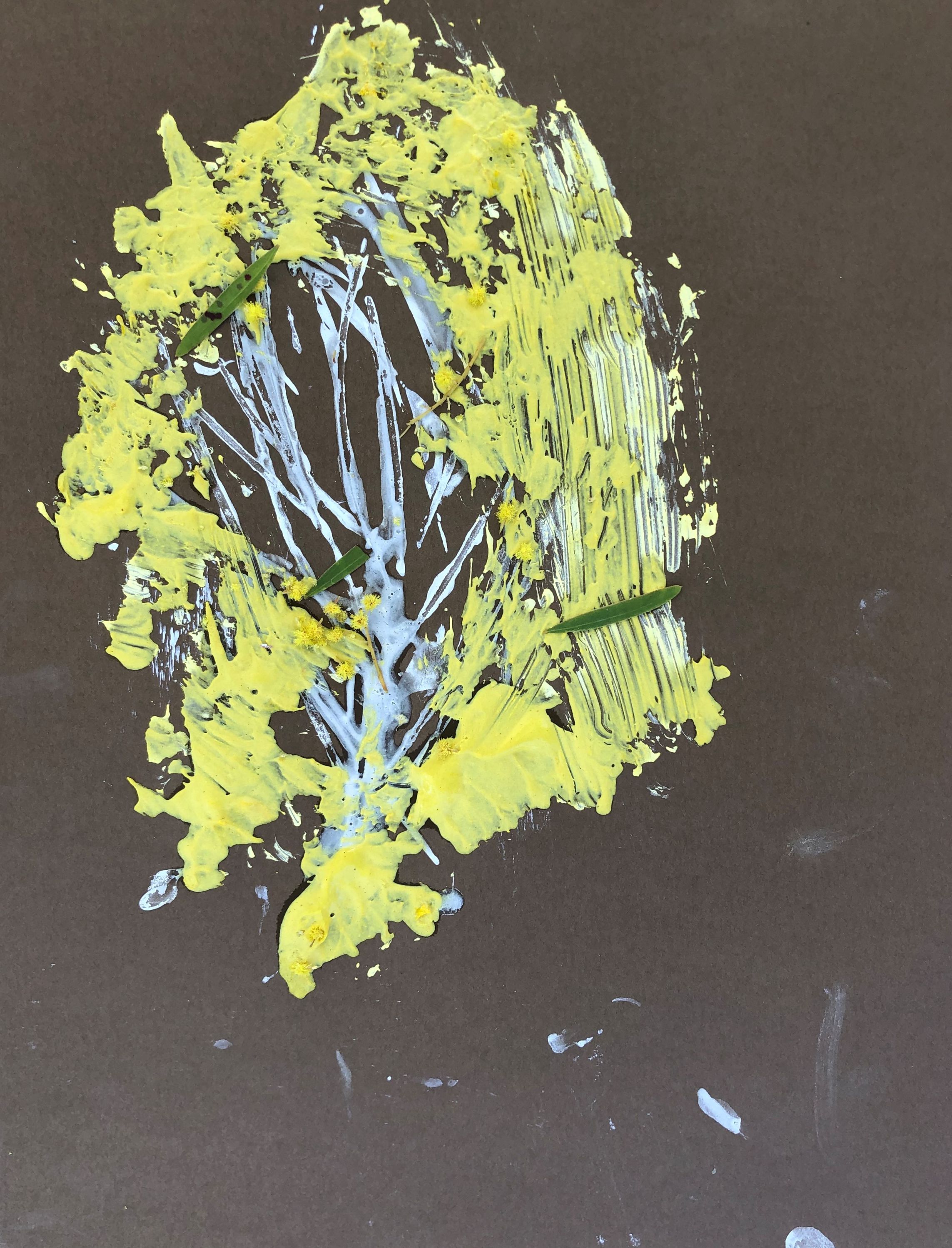 'Wattle Print', Clay on Paper, Kindergarten Students, Newling Public School