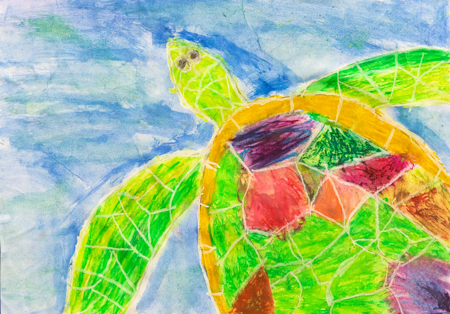 16. Atalia Seymour, 'Turtle', crayon, watercolour, Year 3, St Mary's Primary School, Armidale