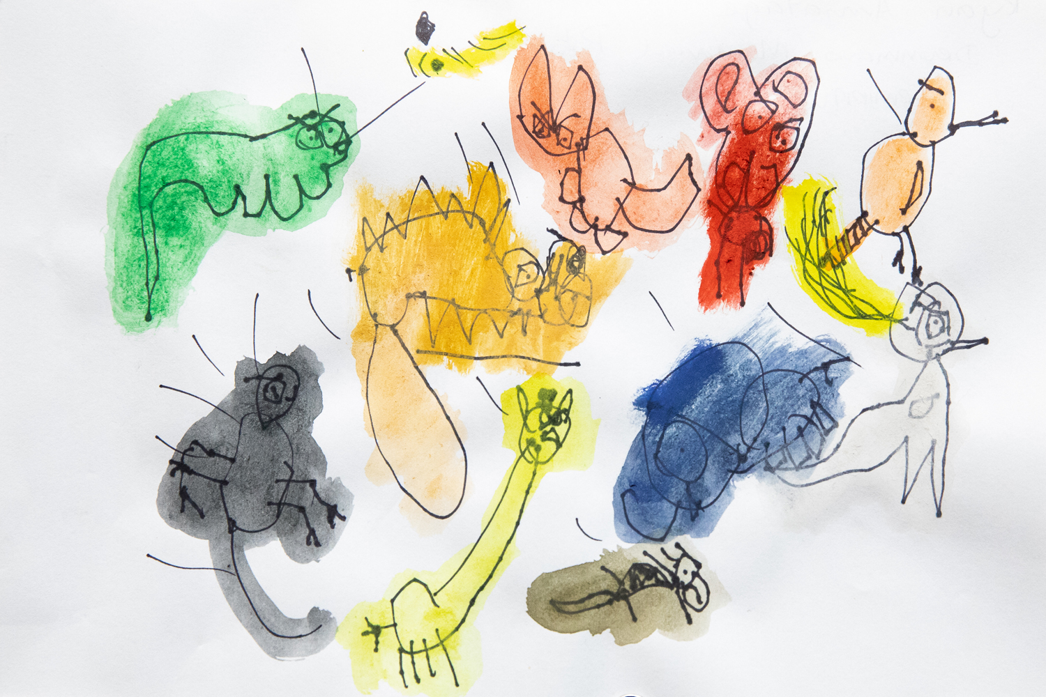 12. Ryan Armatage, 'The zoo',	watercolour, texta, Kindergarten, Drummond Memorial Public School