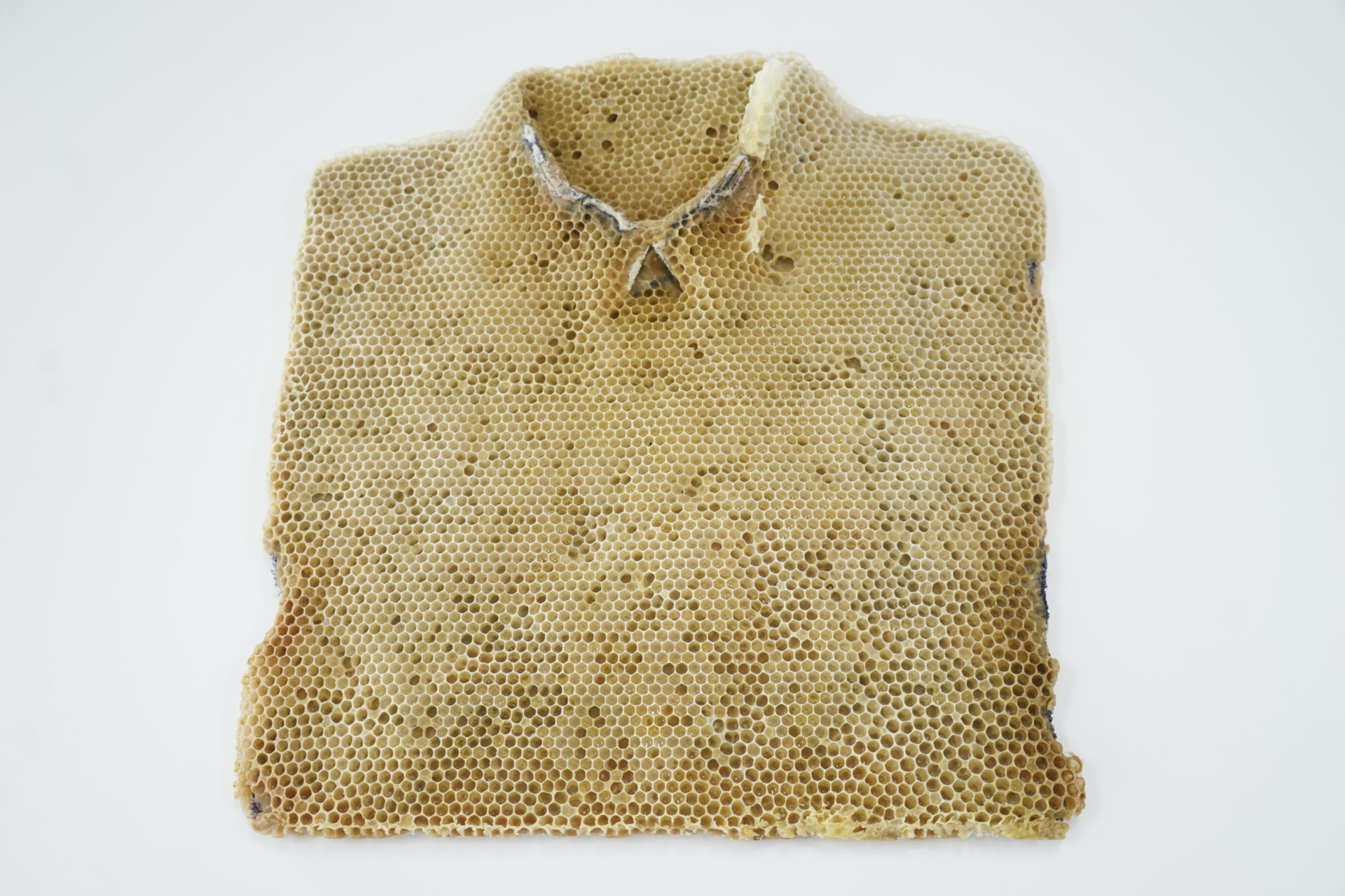 Franz Ehmann, 'Fourteen Days', 2018, Beeswax on cotton shirts with resin buttons