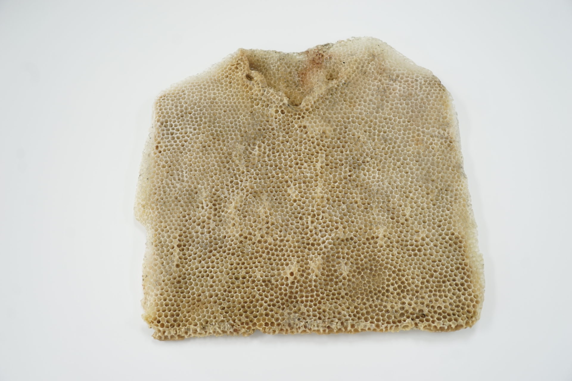 Franz Ehmann, 'Fourteen Days', 2018, Beeswax on cotton shirts with resin buttons