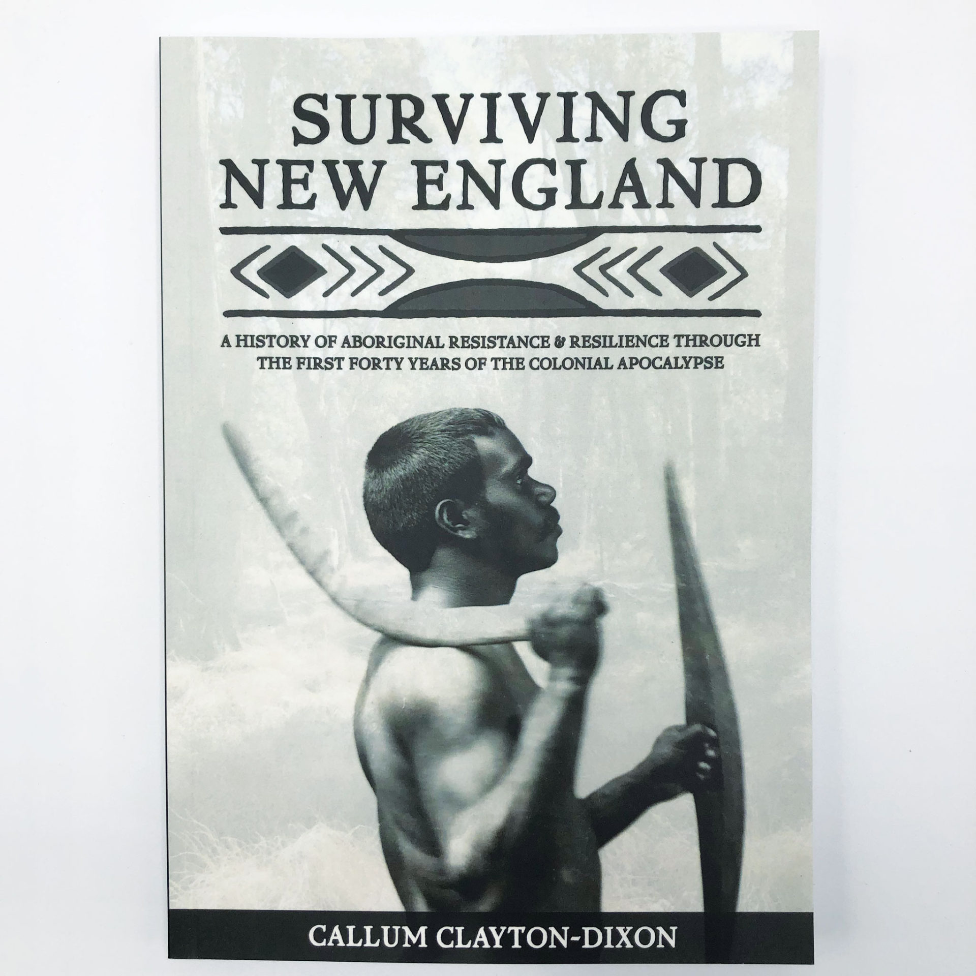 Book cover of Surviving New England