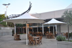 Outdoor dining area with large umbrellas, timber furniture and a scrulptural metal structure overhead. Indoor dingin area is visible through large windows