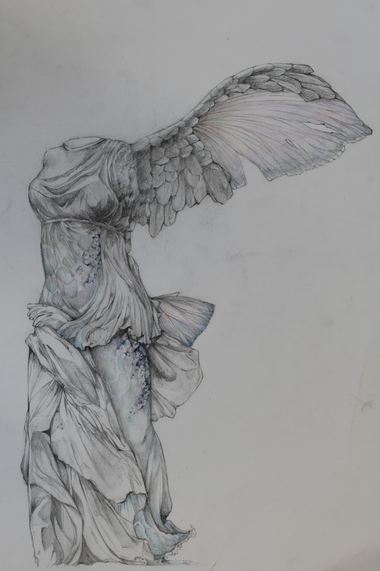 56. Michi Takayama, 'Nike of Samothrace x fish', pencil and coloured pencil, Year 11, Armidale Secondary College
