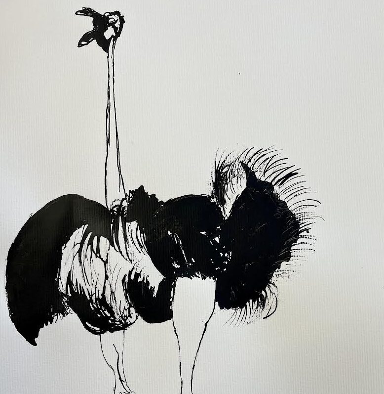42. Kalani Maduwage, 'Ostrich (after Brett Whiteley)', indian ink, Year 7, PLC Armidale